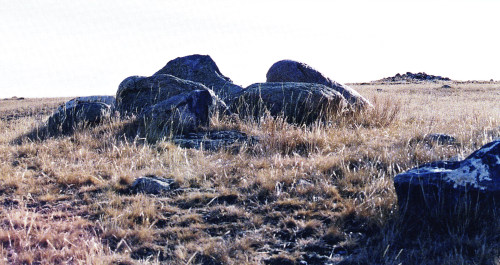 Les pierres qui parlent sans bruit et qui savent sans mot. 20160625GordonFreeman 1