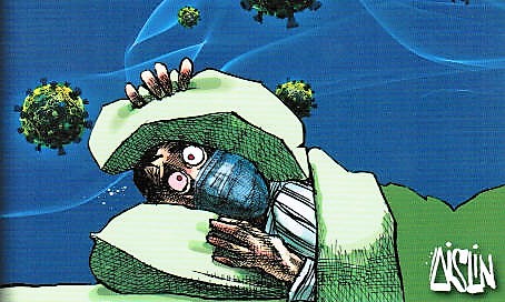 COVID-19 2022 01 20TerryMosher COVID Graphic